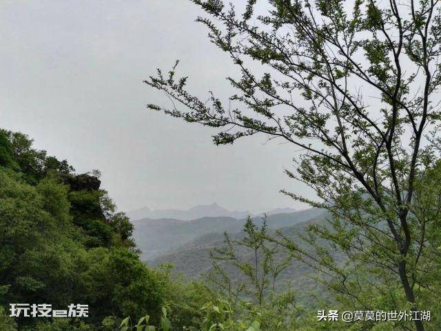 妙峰山在哪里(北京门头沟妙峰山自然风景区介绍)-图片5